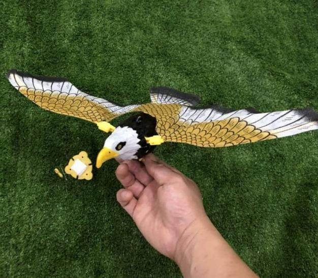 Realistic Flying Eagle Bird Toy with Spread Wings - INDMART